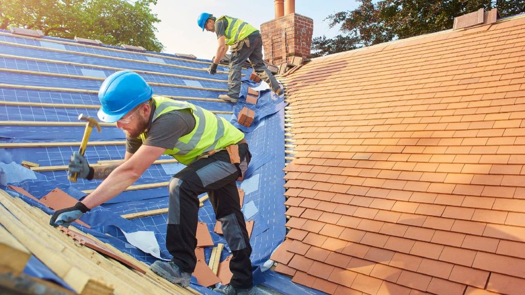 Professional Roofing Contractors